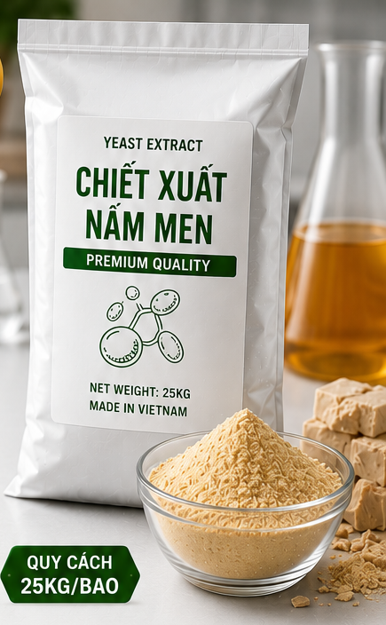 CHIẾT XUẤT NẤM MEN