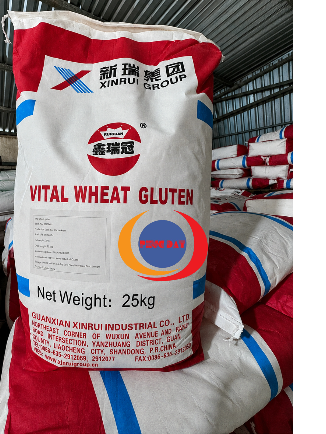 WHEAT GLUTEN - GLUTEN LÚA MÌ
